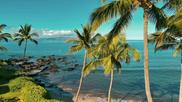 Love.00_00_34_07_edited